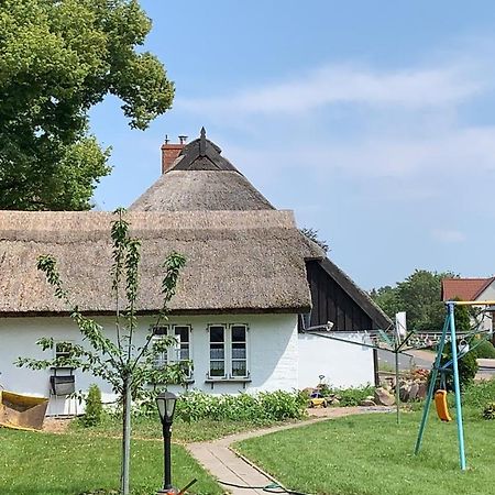 Ferienhaus Alte Schule Rambin Auf Ruegen 外观 照片